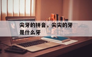 尖牙的拼音，尖尖的牙是什么牙