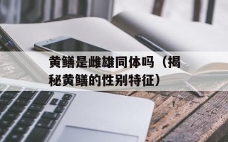 黄鳝是雌雄同体吗（揭秘黄鳝的性别特征）