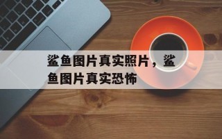 鲨鱼图片真实照片，鲨鱼图片真实恐怖