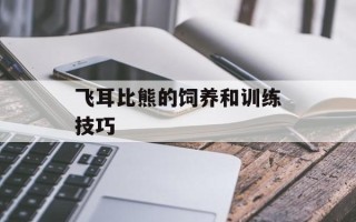 飞耳比熊的饲养和训练技巧