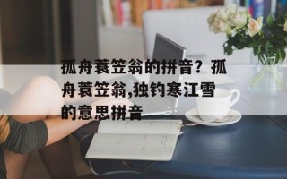 孤舟蓑笠翁的拼音？孤舟蓑笠翁,独钓寒江雪的意思拼音