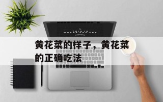 黄花菜的样子，黄花菜的正确吃法