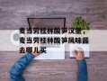 麦当劳桂林酸笋汉堡，麦当劳桂林酸笋风味酱去哪儿买