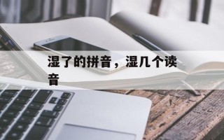 湿了的拼音，湿几个读音