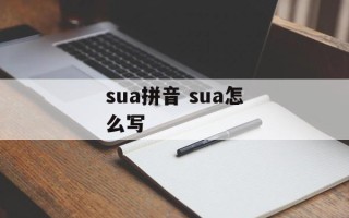 sua拼音 sua怎么写