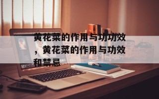黄花菜的作用与功功效，黄花菜的作用与功效和禁忌