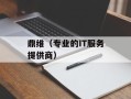 鼎维（专业的IT服务提供商）