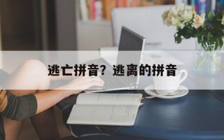 逃亡拼音？逃离的拼音