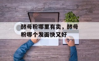 酵母粉哪里有卖，酵母粉哪个发面快又好