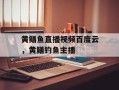 黄鳝鱼直播视频百度云，黄鳝钓鱼主播