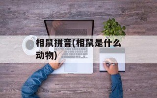 相鼠拼音(相鼠是什么动物)