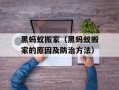 黑蚂蚁搬家（黑蚂蚁搬家的原因及防治方法）