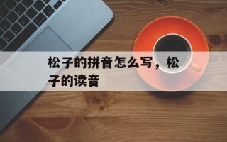 松子的拼音怎么写，松子的读音