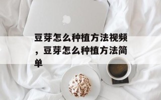 豆芽怎么种植方法视频，豆芽怎么种植方法简单