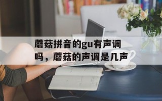 蘑菇拼音的gu有声调吗，蘑菇的声调是几声