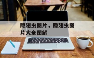 隐翅虫图片，隐翅虫图片大全图解