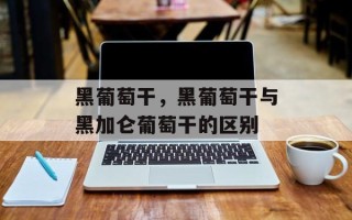 黑葡萄干，黑葡萄干与黑加仑葡萄干的区别