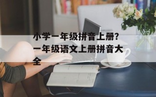 小学一年级拼音上册？一年级语文上册拼音大全