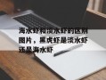 海水虾和淡水虾的区别图片，黑虎虾是淡水虾还是海水虾