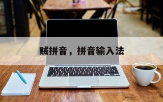 贼拼音，拼音输入法