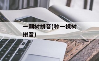一颗树拼音(种一棵树拼音)