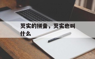 芡实的拼音，芡实也叫什么