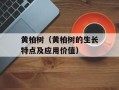 黄柏树（黄柏树的生长特点及应用价值）