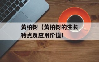 黄柏树（黄柏树的生长特点及应用价值）
