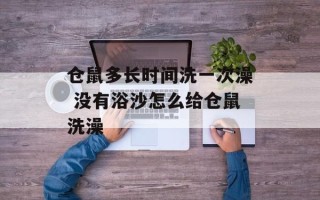 仓鼠多长时间洗一次澡 没有浴沙怎么给仓鼠洗澡