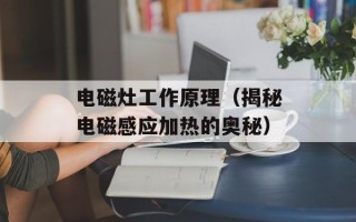 电磁灶工作原理（揭秘电磁感应加热的奥秘）
