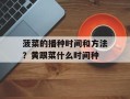 菠菜的播种时间和方法？黄跟菜什么时间种