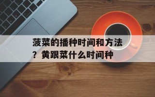 菠菜的播种时间和方法？黄跟菜什么时间种