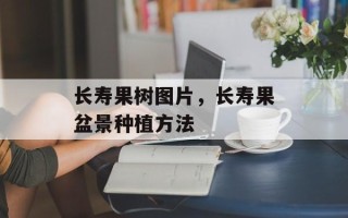 长寿果树图片，长寿果盆景种植方法