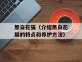 黑白花猫（介绍黑白花猫的特点和养护方法）