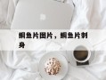 鲷鱼片图片，鲷鱼片刺身