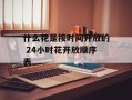 什么花是按时间开放的 24小时花开放顺序表