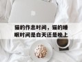 猫的作息时间，猫的睡眠时间是白天还是晚上