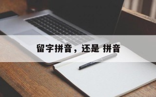 留字拼音，还是 拼音