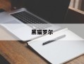 黑猫罗尔