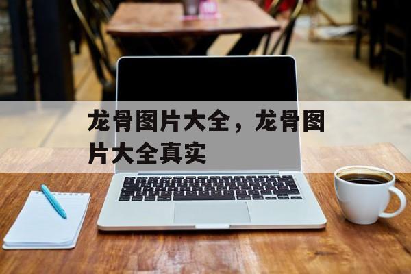 龙骨图片大全，龙骨图片大全真实-第1张图片-