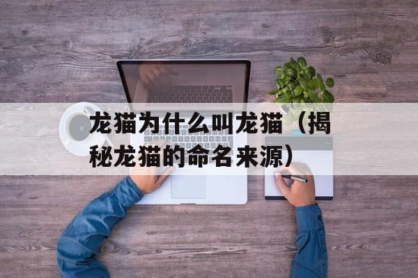 龙猫为什么叫龙猫（揭秘龙猫的命名来源）-第1张图片-