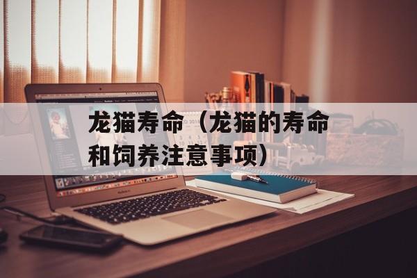 龙猫寿命（龙猫的寿命和饲养注意事项）-第1张图片-