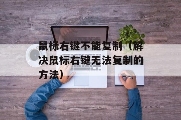 鼠标右键不能复制（解决鼠标右键无法复制的方法）-第1张图片-