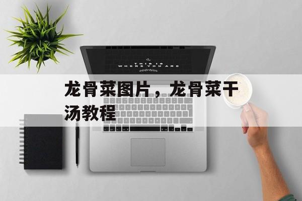 龙骨菜图片，龙骨菜干汤教程-第1张图片-