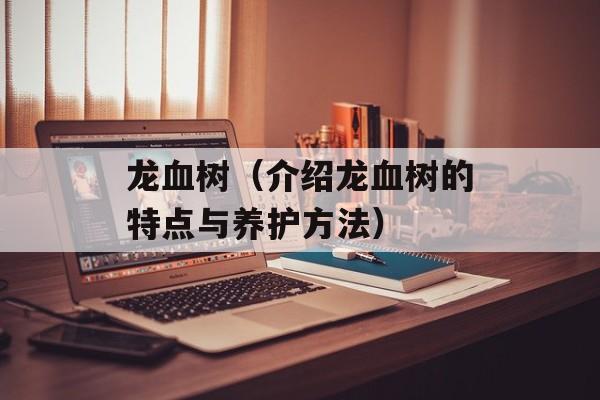 龙血树（介绍龙血树的特点与养护方法）-第1张图片-