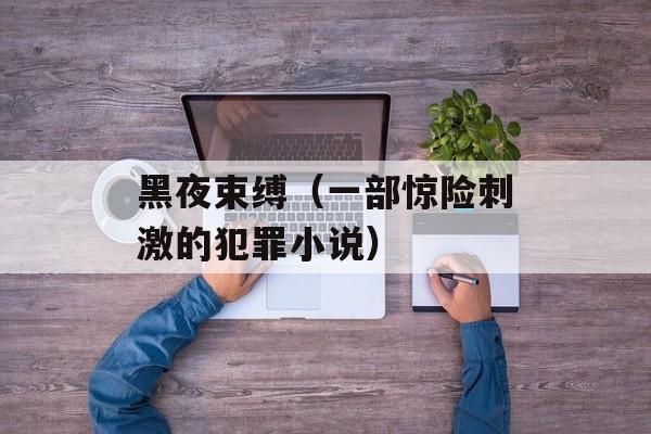 黑夜束缚（一部惊险刺激的犯罪小说）-第1张图片-