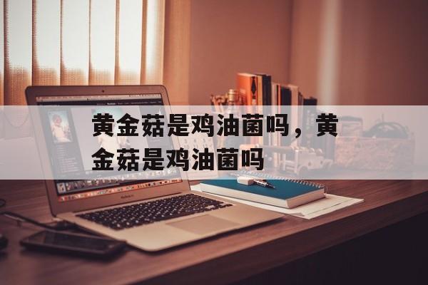 黄金菇是鸡油菌吗，黄金菇是鸡油菌吗-第1张图片-