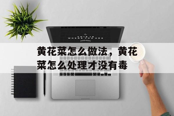 黄花菜怎么做法，黄花菜怎么处理才没有毒-第1张图片-