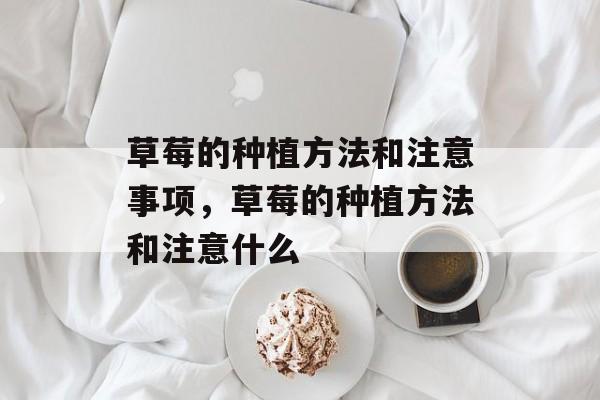 草莓的种植方法和注意事项，草莓的种植方法和注意什么-第1张图片-