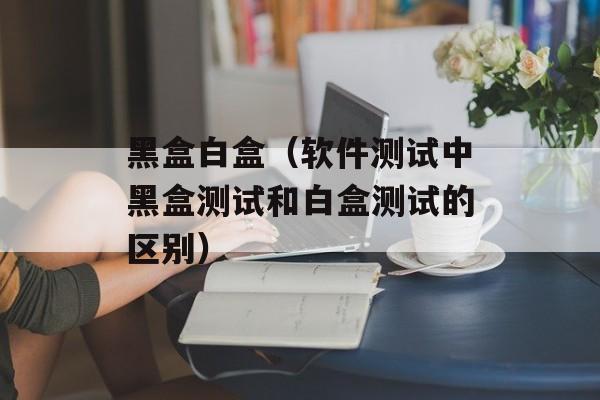 黑盒白盒（软件测试中黑盒测试和白盒测试的区别）-第1张图片-